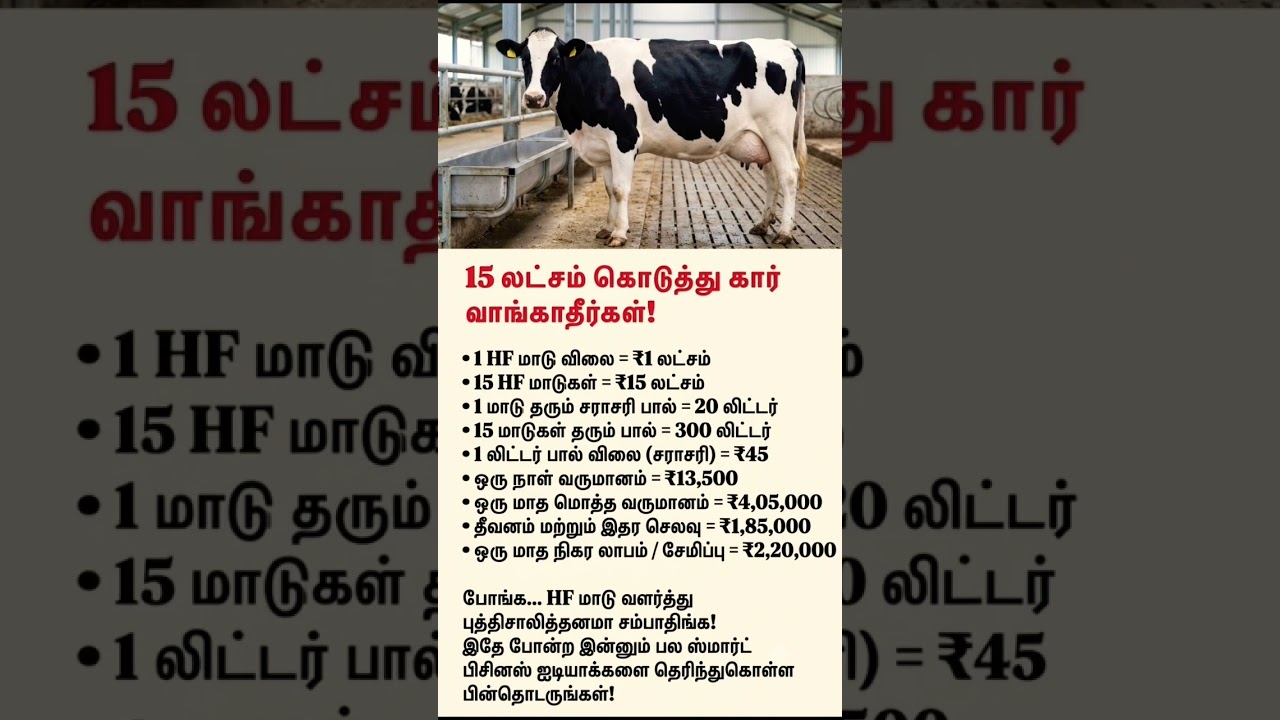 powerfull HF cow investment idea| மாடு வளர்ப்பு பற்றிய கணக்கு #businessideastamil #cowdi #dairy