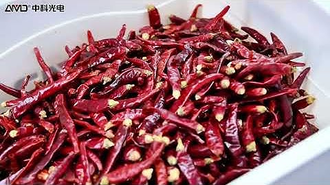AMD Dry and Wet Chili/Pepper Color Sorting/Sortex/Sorter Machines