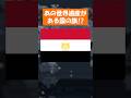大きな世界遺産がある国の旗...!#国旗マニア #国旗 #歴史 #地理 #月曜から夜更かし #雑学 #イスラエル