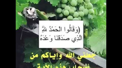 قناة أبو أســــيد أبو الرُّب    {}{ تلاوة رائعة من سورة الزمر}{}