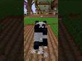Qui va jouer ?#minecraft