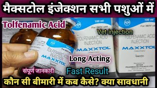 Maxxtol(Tolfenamic Acid) Injection||Pashuon ki konsi Disease mein kab kase lagaye?