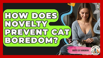 How Does Novelty Prevent Cat Boredom? - Happy Cat Handbook