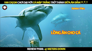 [Review Phim] Chơi Dại Với Cá Mập Trắng: Hai Chị Em Đối Mặt Với Cơn Ác Mộng
