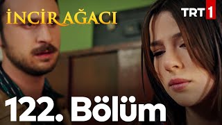 İncir Ağacı 122 Bölüm