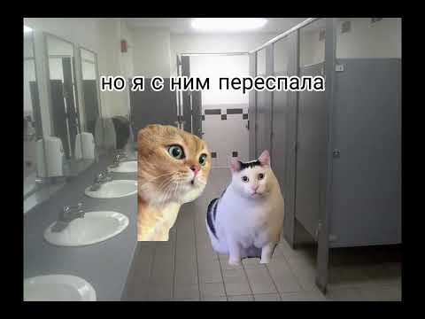 женский туалет #коты #мемы