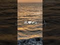 مالي أرى هذه الوجوه حزينة
