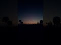 A Floridian sunset!