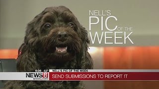 Nell's Pic of the Week - May 22, 2015
