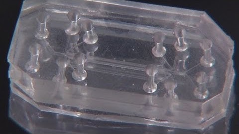 Fake organs could replace lab animals