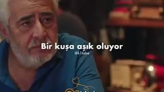 Bir Balik Bir Kusa Asik Olmus