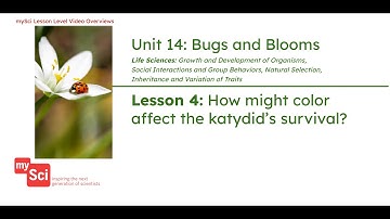 Unit 14 Lesson 4 Video