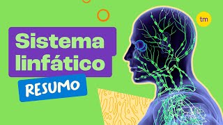 Conheça o SISTEMA LINFÁTICO (Resumo)