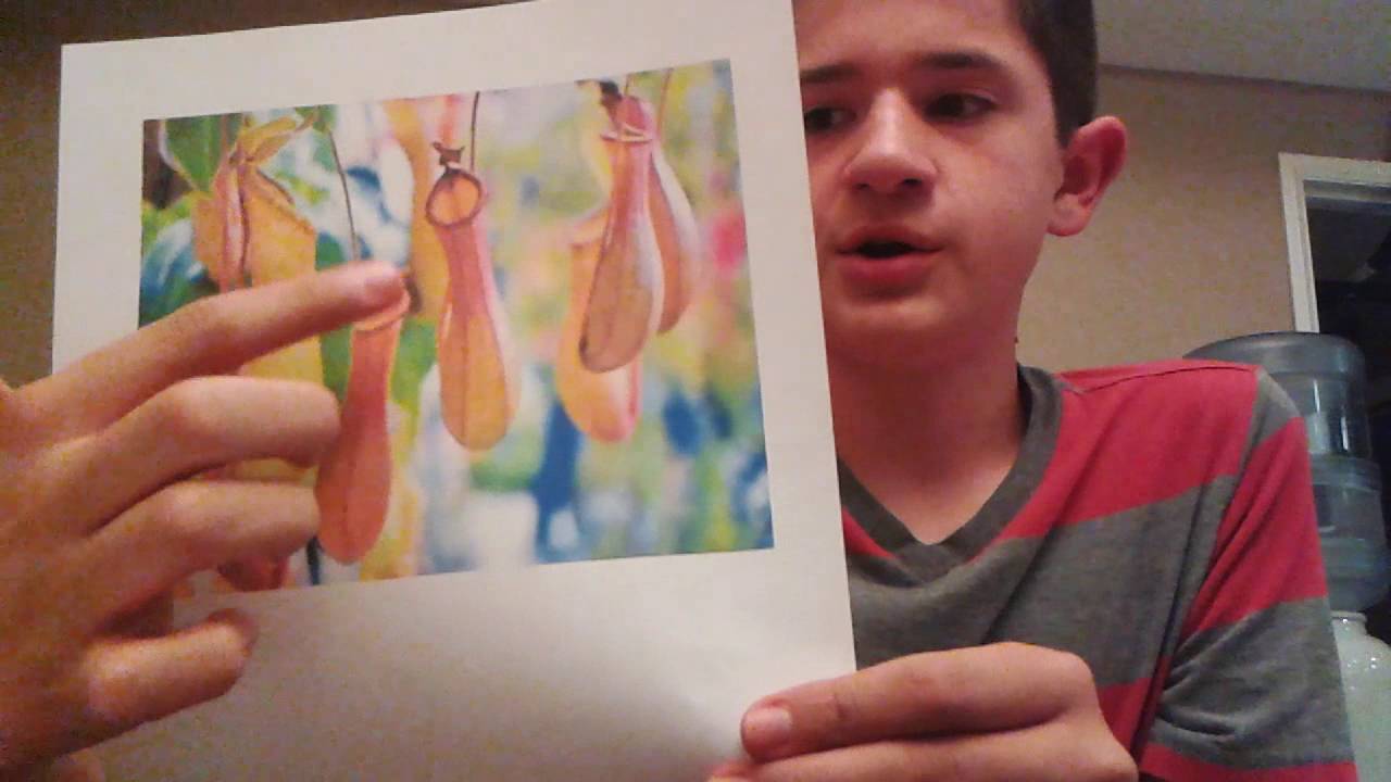 My Science Portfolio presentation 