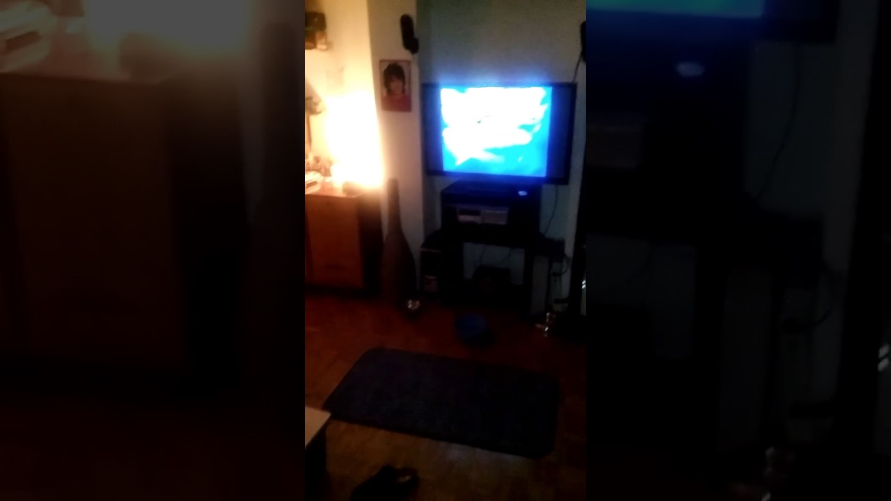 FUNNY DOG WATCHING TV -DOG WATCHING HE-MAN 