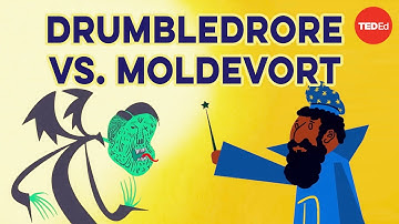 Can you steal the most powerful wand in the wizarding world? - Dan Finkel