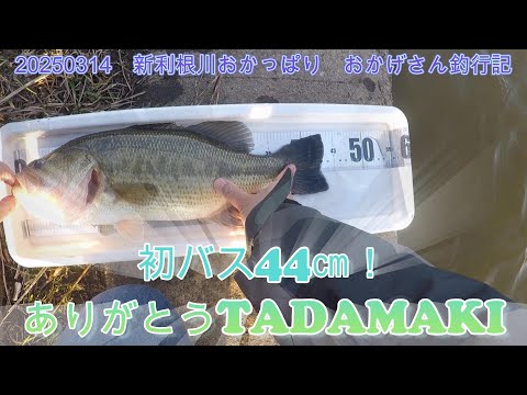 TADAMAKIで初バス44cm！＠新利根川おかっぱり ～霞水系・バス