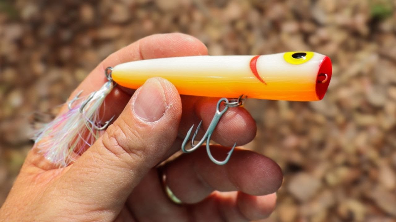 Use This Timeless Topwater Lure If You Are Struggling To Get Strikes 