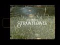 Miniature de la vidéo de la chanson Strawflower