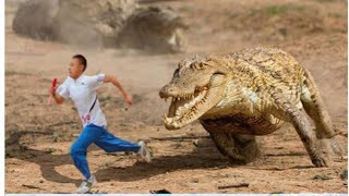 Hayvan Saldırıları trajikomik - animal attacks documentary पशु वृत्तचित्र документальный 动物纪录片 Hayvan Saldırıları trajikomik - animal attacks documentary पशु वृत्तचित्र документальный 动物纪录片