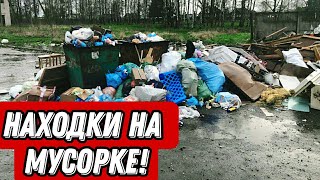 Что можно найти на мусорках Санкт-Петербурга? Находки на мусорке!