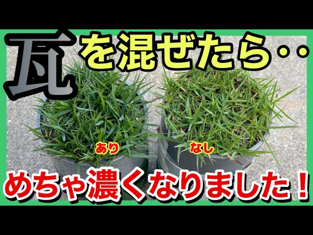 庭のぬかるみに瓦砕石いかがですか? sddefault.jpg