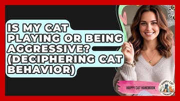Is My Cat Playing Or Being Aggressive? (Deciphering Cat Behavior) - Happy Cat Handbook