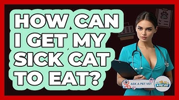 How Can I Get My Sick Cat To Eat? - Ask A Pet Vet