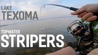 Lake Texoma Topwater STRIPERS