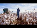 Fields of Joy | Texas Cotton 2021