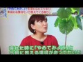 やめみた。ぽんさんの人間関係論。「本当に自分に必要な物は何か？」