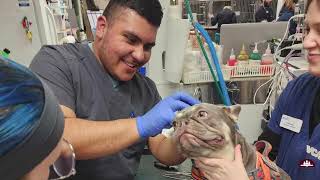 Inside Career & Technical Education: Agriculture Science, McKay High School