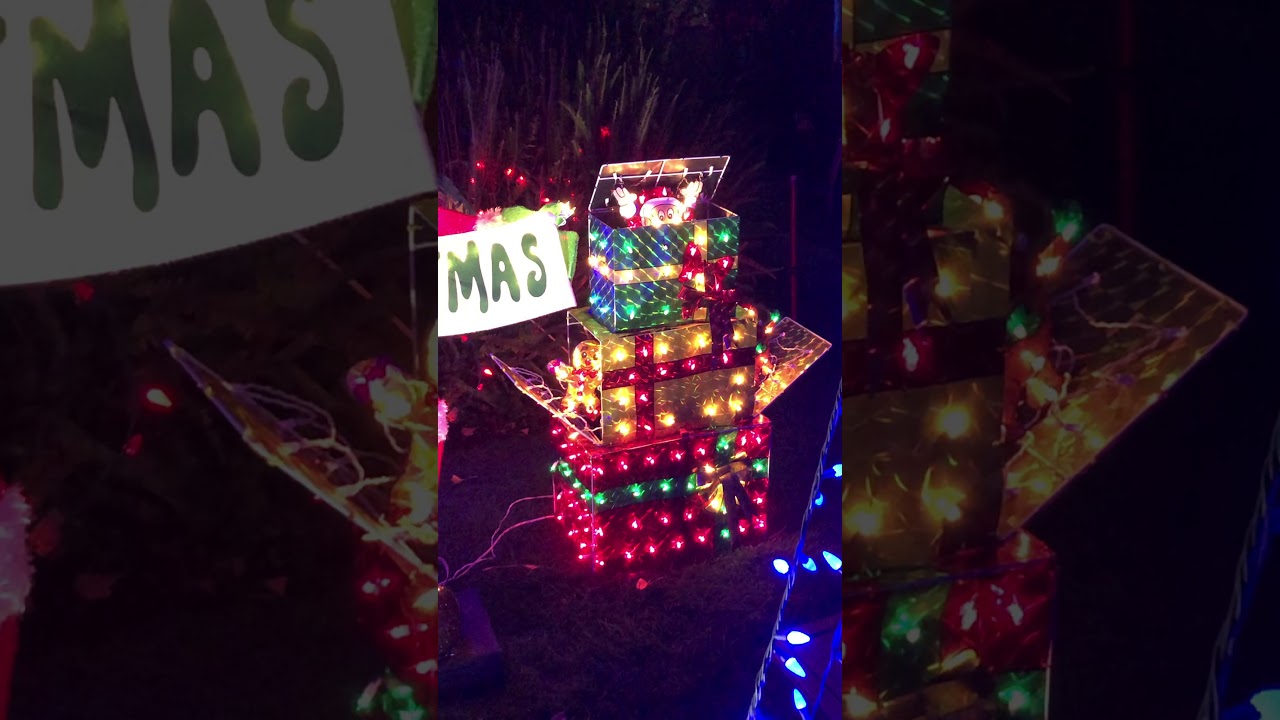 Christmas Surprise on Christmas Tree Lane, Alameda, California YouTube