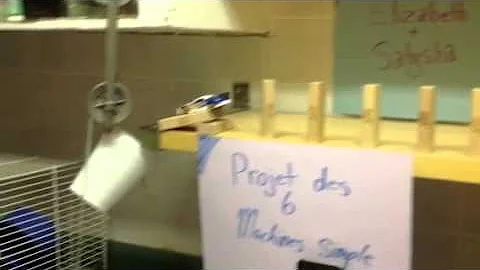 Ruth Goldberg machine science project