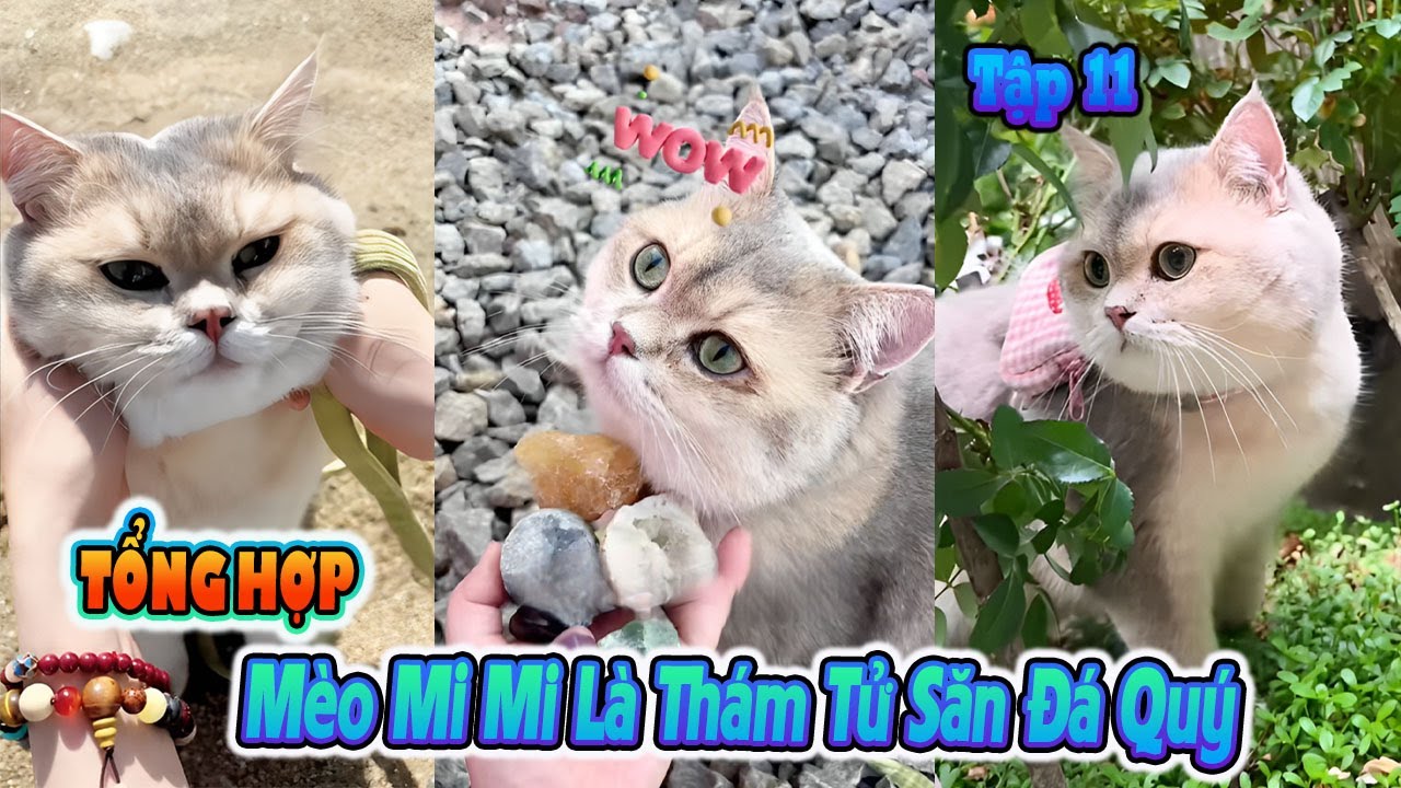Tổng Hợp Tập11 Mèo Mi Mi Là Thám Tử Săn Đá Quý (Mèo Ú Ớ) #MeoUO - YouTube