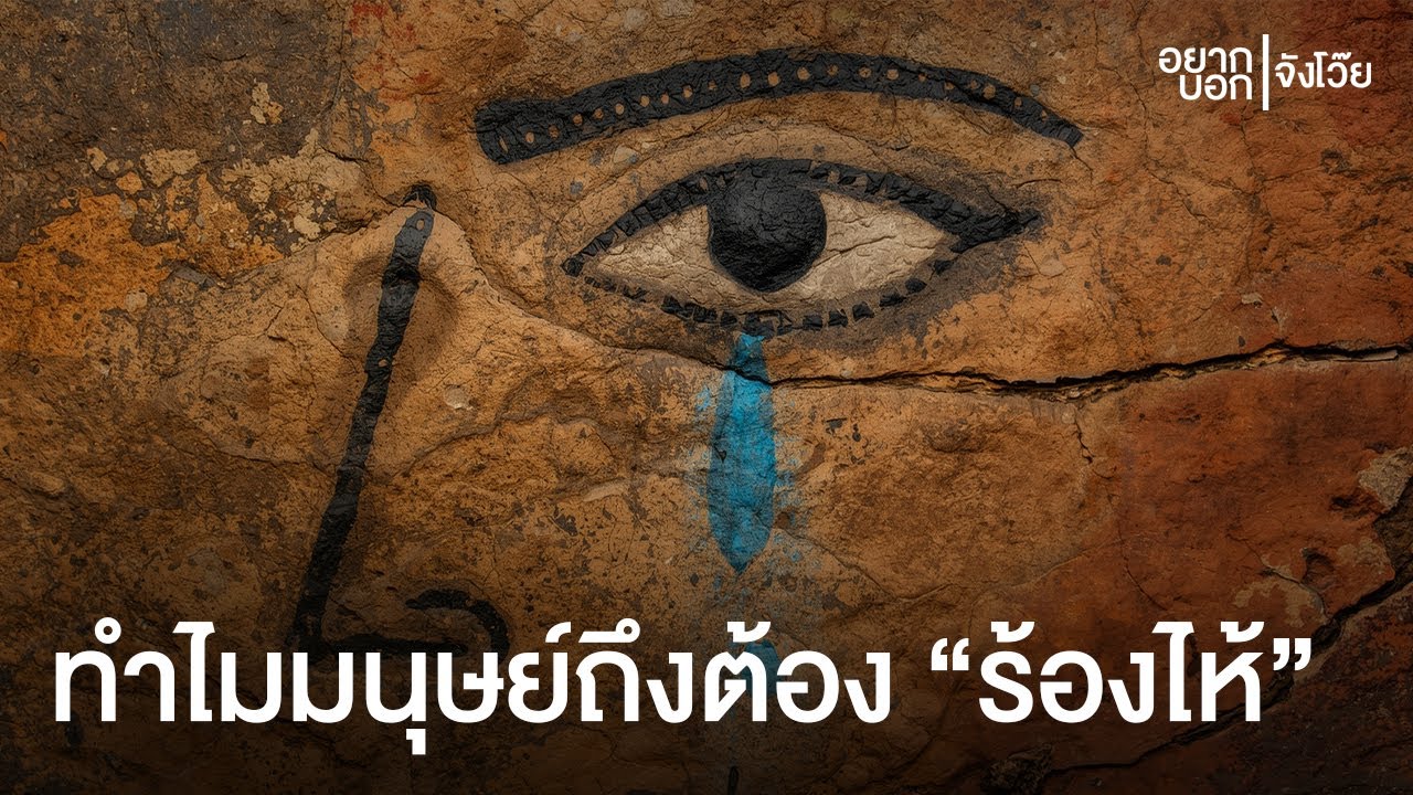 ทำไมมนุษย์ถึงต้อง 