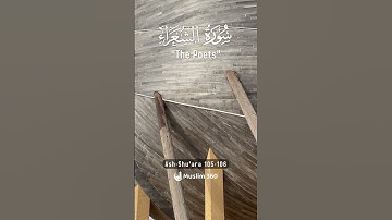 Surah Ash Shu'ara 105-106 Hindi - Urdu Audio translation | سورة الشعراء