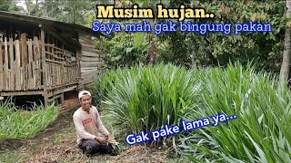 Instead of living away from home, choose goat farming with a smart concept.