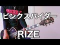 RIZE- ピンクスパイダー【Guitar Cover】ギター弾いてみた