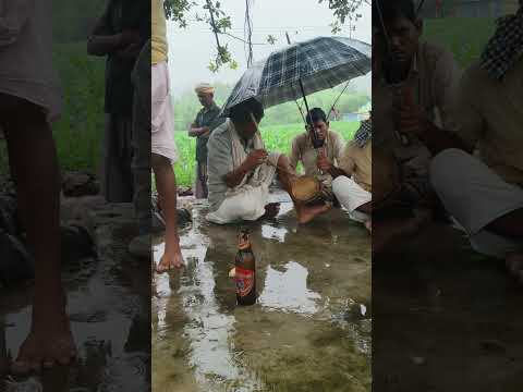 बापू डामोर बडुवा गांव गणेशपुरा नादरु जातर परंपरा 