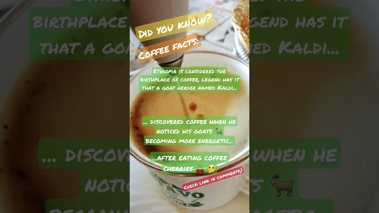 🐐☕🌅Did you know?🤔❤️ 🍒#coffee #coffeetime #barista #baristalife #coffeefacts #coffeeholic #ideas
