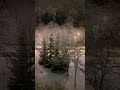 Первый снег, день и ночь / First snow, day and night