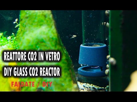 REATTORE CO2 IN VETRO FAIDATE per ACQUARIO