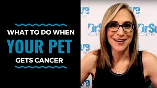 What To Do When Your Pet Gets Cancer: VLOG 78