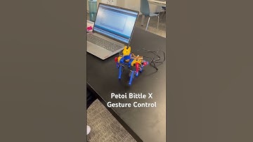 Petoi Bittle X | Gesture Control with Advanced Sensors | Petoi Camp