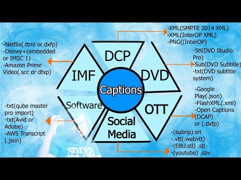 Subtitles and Captions: How to Do It and All Platforms #learn_and_editz