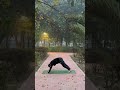 Day 17 | Surya Namaskar Challenge 🌞|Endurance • Awareness • Flow | Yoga with Sanjay