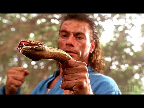 Jean Claude Van Damme Punches A Snake Hard Target CLIP 4K 