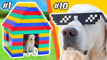 LEGO BUILDS for a DOG...