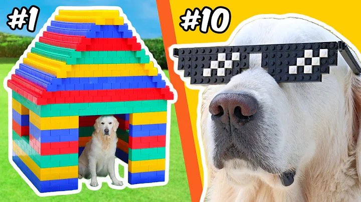 LEGO BUILDS for a DOG...